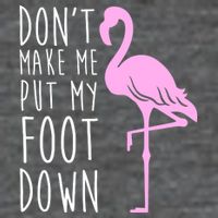Don't Make Me Put My Foot Down Flamingo Poster