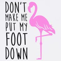 Don't Make Me Put My Foot Down Flamingo Garment-Dyed Sweatshirt
