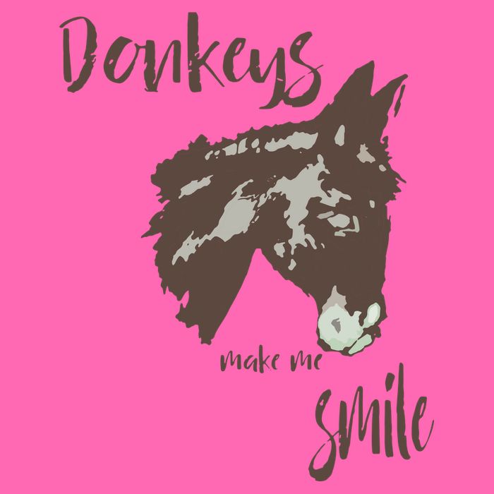 Donkeys Make Me Smile Cute Donkey Stripe Pom Pom Beanie