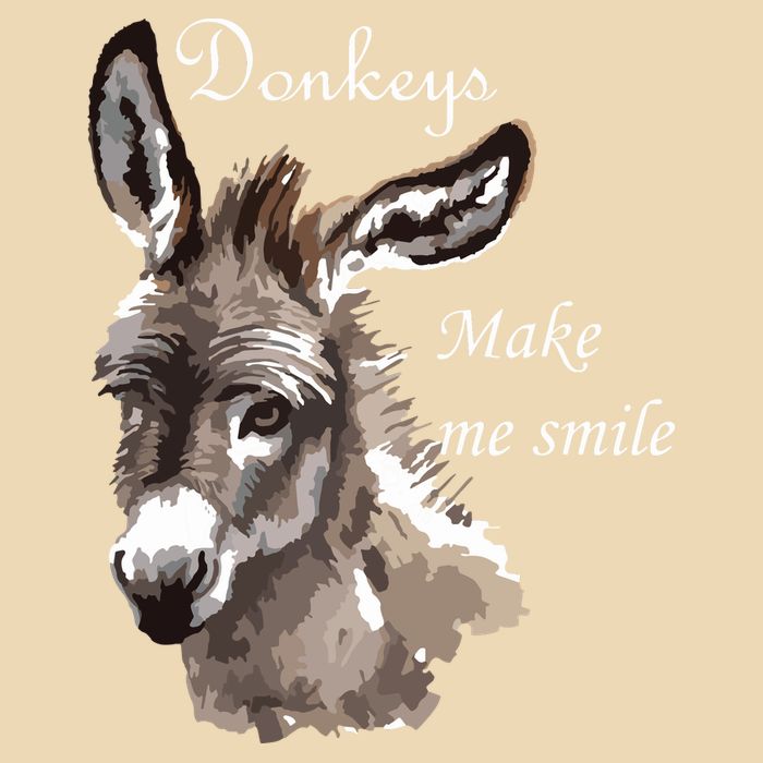 Donkeys Make Me Smile Cute Miniature Donkey Mini Donkey Gift Bag