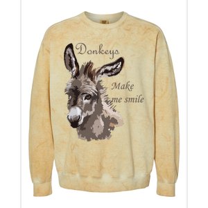 Donkeys Make Me Smile Cute Miniature DonkeyTail Lovers Colorblast Crewneck Sweatshirt