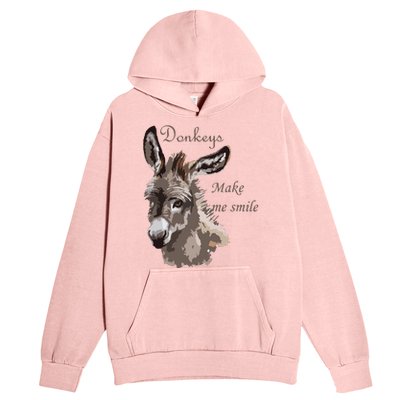 Donkeys Make Me Smile Cute Miniature DonkeyTail Lovers Urban Pullover Hoodie