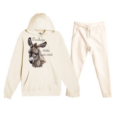 Donkeys Make Me Smile Cute Miniature DonkeyTail Lovers Premium Hooded Sweatsuit Set