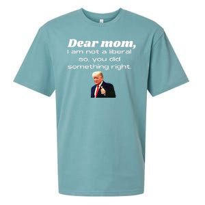 Dear Mom Not A Liberal Funny Trump Sueded Cloud Jersey T-Shirt