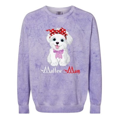 Dog Mama Puppy Mom Maltese Colorblast Crewneck Sweatshirt