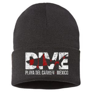 Dive Mexico Playa Del Carmen Scuba Diving Sustainable Knit Beanie