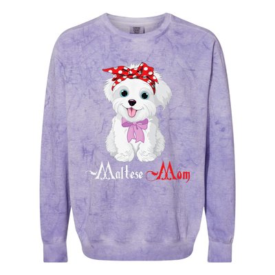 Dog Mama Puppy Mom Maltese Colorblast Crewneck Sweatshirt