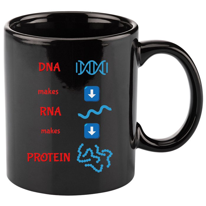 Dna Makes Rna Makes Protein Molecular Cell Biology 11oz C Handle Ceramic Mug