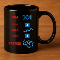 Dna Makes Rna Makes Protein Molecular Cell Biology 11oz C Handle Ceramic Mug