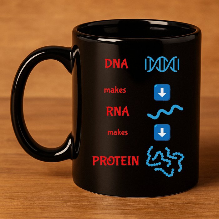 Dna Makes Rna Makes Protein Molecular Cell Biology 11oz C Handle Ceramic Mug