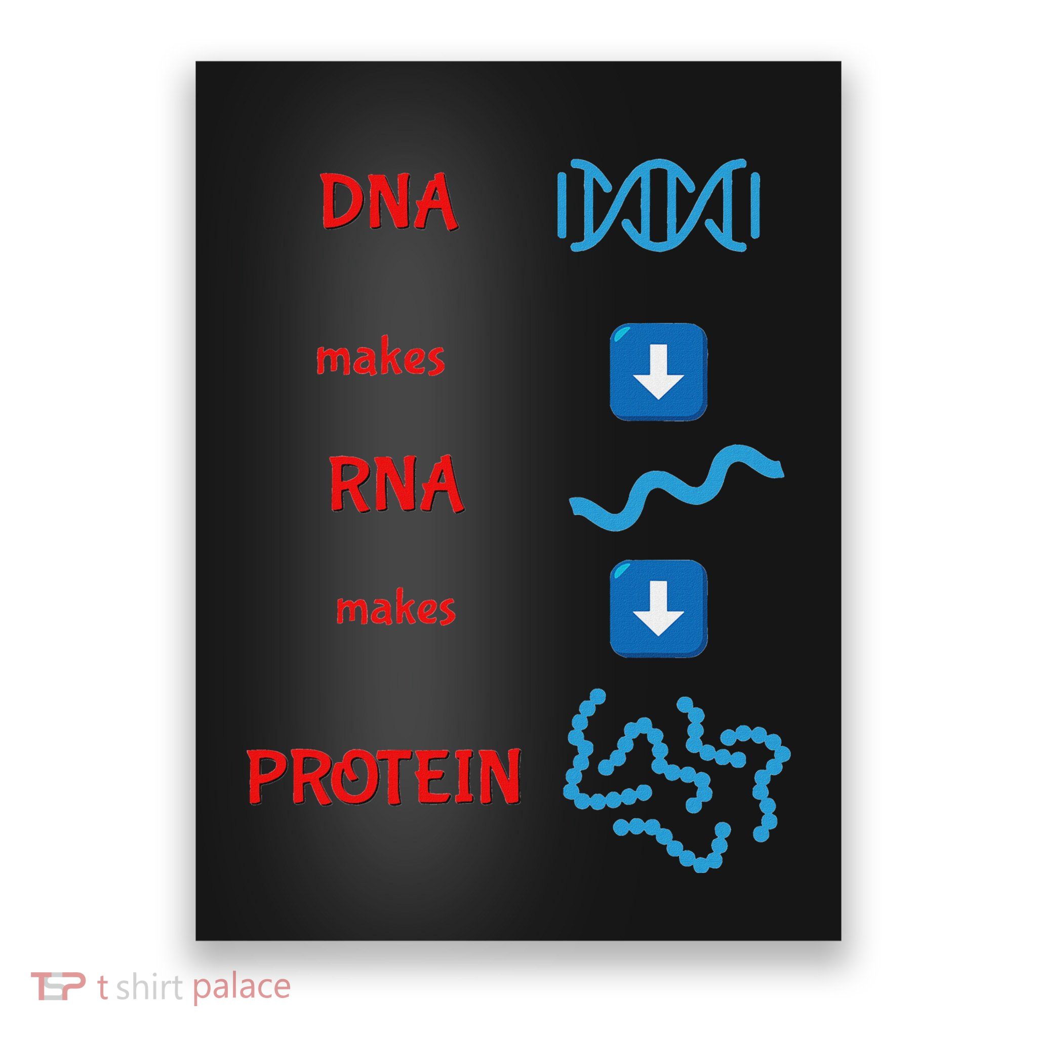 Dna Makes Rna Makes Protein Molecular Cell Biology Poster