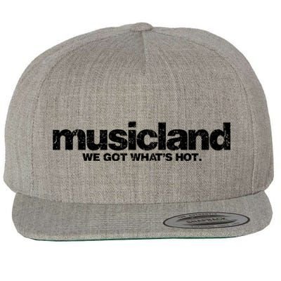 Defunct Musicland Rustic Style Wool Snapback Cap