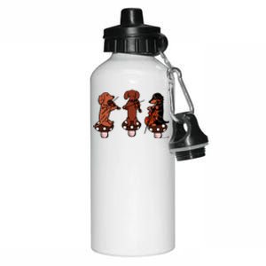 Dachshund Musicians String Trio Aluminum Water Bottle