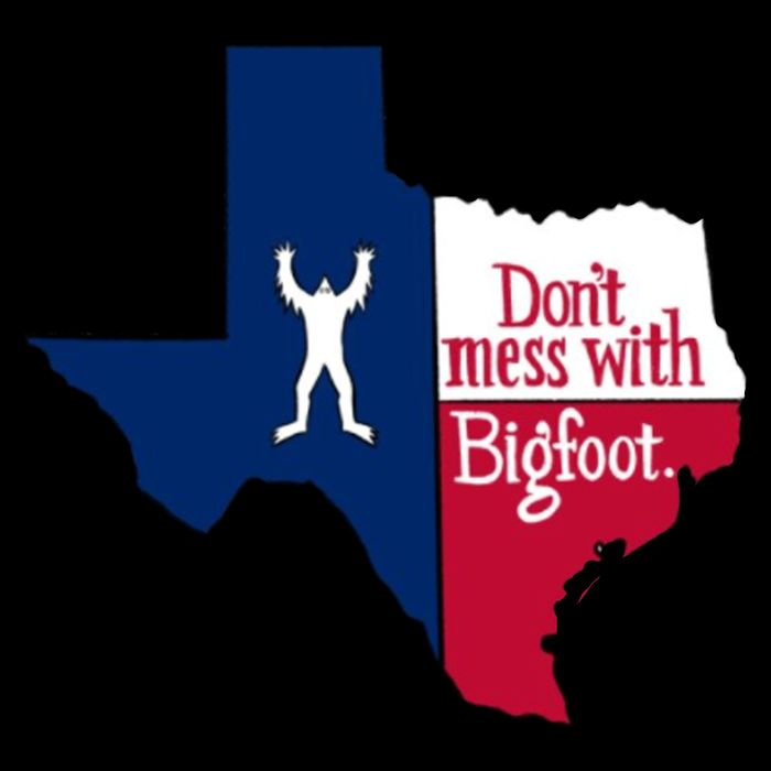 Don't Mess With Bigfoot 16 in Basic Backpack