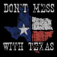 DonT Mess With Vintage Texas Longhorn Lone Star State Bag