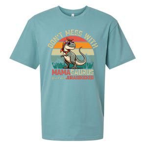 Dont Mess With Mamasaurus Youll Get Jurasskicked Sueded Cloud Jersey T-Shirt