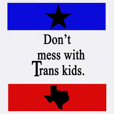 Don't Mess With Trans Kids Texas Protect Trans Kids T-Shirt