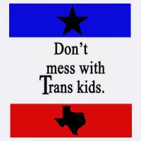 Don't Mess With Trans Kids Texas Protect Trans Kids T-Shirt