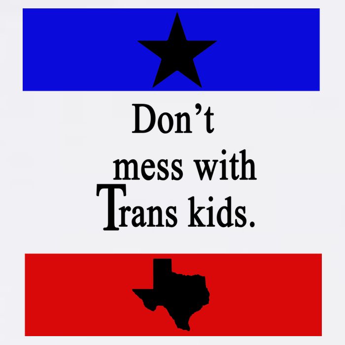 Don't Mess With Trans Kids Texas Protect Trans Kids T-Shirt