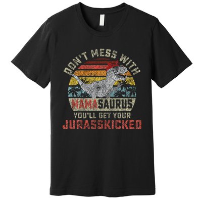 Dont Mess With Mamasaurus Youll Get Jurasskicked Premium T-Shirt