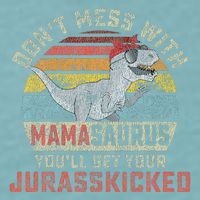 Dont Mess With Mamasaurus Youll Get Jurasskicked Sueded Cloud Jersey T-Shirt