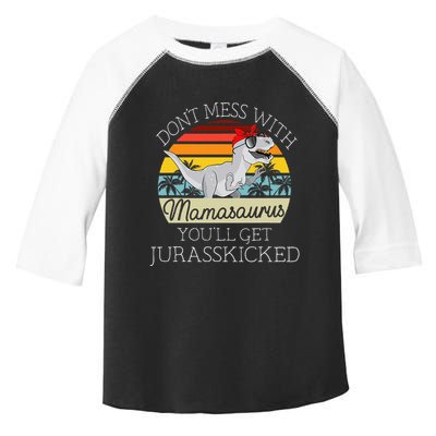 Dont Mess With Mamasaurus Youll Get Jurasskicked Toddler Fine Jersey T-Shirt