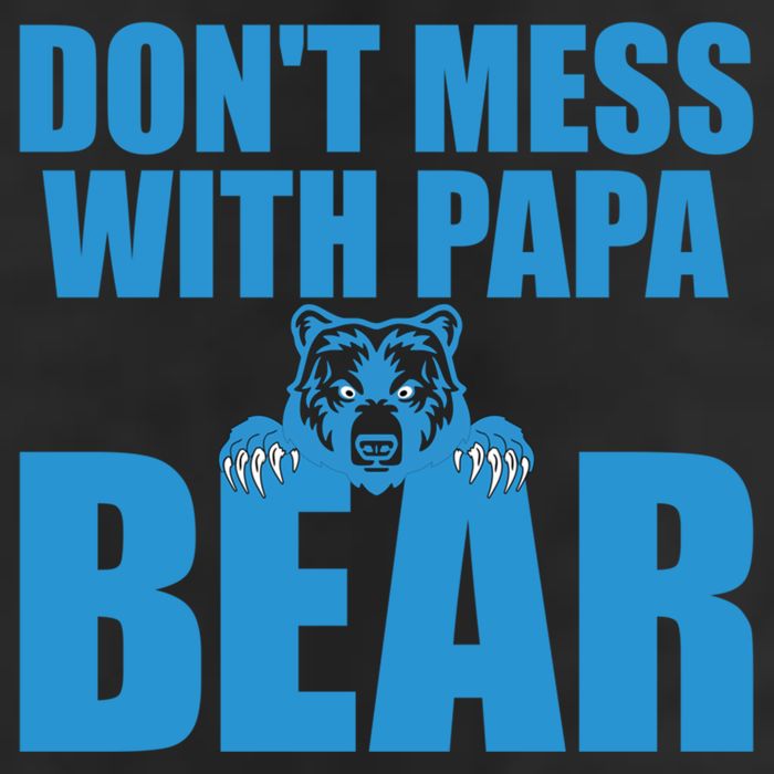 Dont Mess With Papa Bear Funny Gift 7 Panel Mesh Trucker Snapback Hat