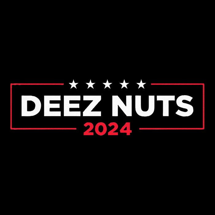 Deez Nuts 2024 Humorous Meme Campaign Novelty 7-Panel Snapback Hat