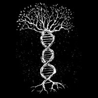 DNA Tree Wool Snapback Cap