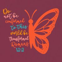 Do Not Be Conformed To This World Be Transformed Romans 122 16oz Travel Tumbler