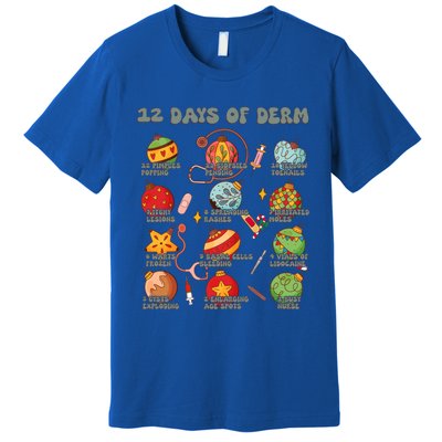 Dermatology Nurse Christmas 12 Days Of Derm Dermatologists Gift Premium T-Shirt