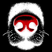 Dog Nose Close Up Women's Perfect Tri Rocker Tank