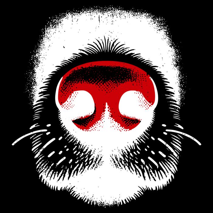 Dog Nose Close Up Women's Perfect Tri Rocker Tank