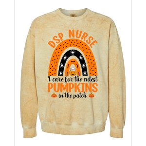 Dsp Nurse Cutest Pumpkins Rainbow Halloween Spider Gift Colorblast Crewneck Sweatshirt