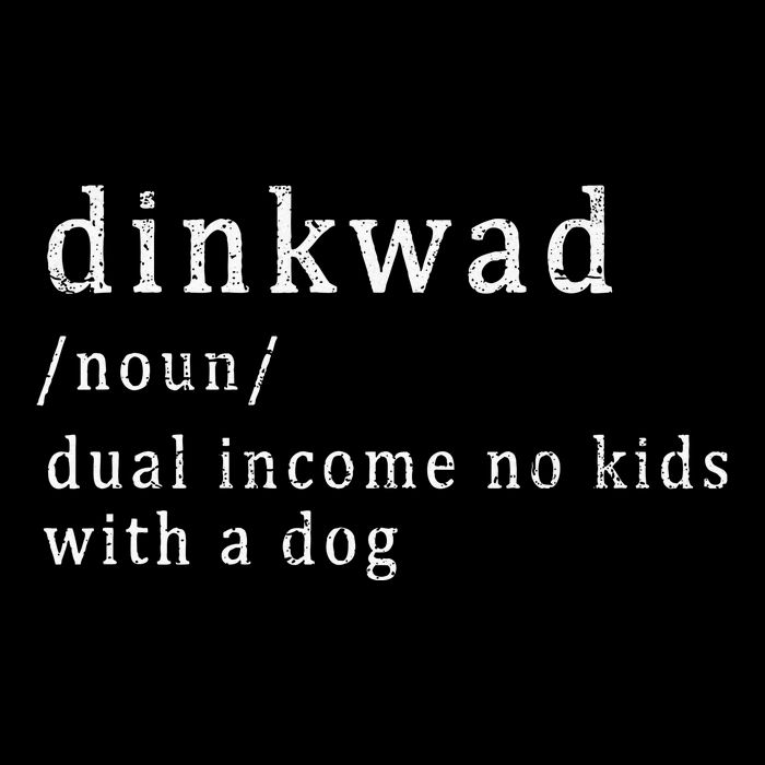 Dinkwad Noun Dual Income No With A Dog Stripe Pom Pom Beanie