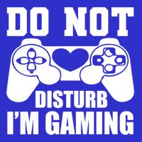 Do Not Disturb IM Gaming Late Night Gamer Game Mode Gear Gift Ladies Long Sleeve Shirt