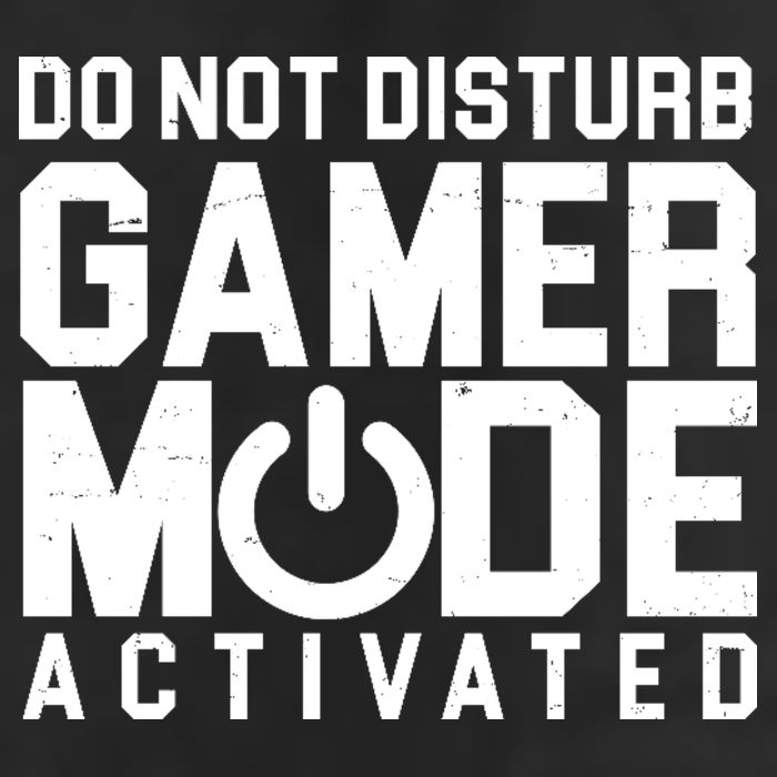 Do Not Disturb Gamer Mode Activated Garment-Dyed Fleece Hoodie