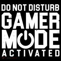 Do Not Disturb Gamer Mode Activated Poster