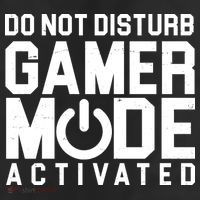 Do Not Disturb Gamer Mode Activated 25L Jumbo Tote