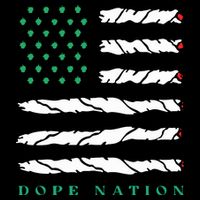 Dope Nation Flag Marijuana 420 Leaf Weed Weed Day Cannabis Funny 16 in Basic Backpack