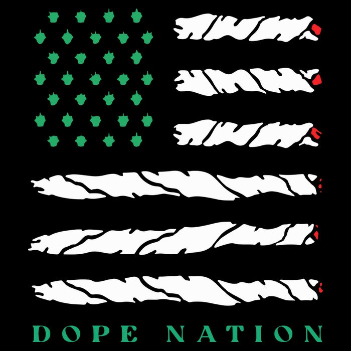 Dope Nation Flag Marijuana 420 Leaf Weed Weed Day Cannabis Funny 16 in Basic Backpack