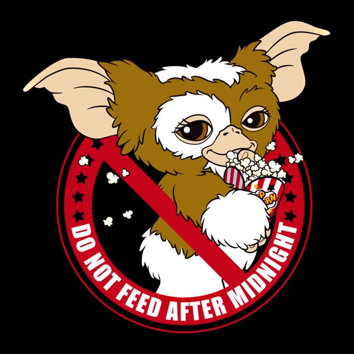 Do Not Feed After Midnight Funny Sweatshirt