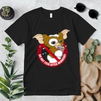 Do Not Feed After Midnight Funny Premium T-Shirt