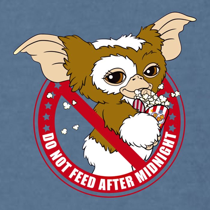 Do Not Feed After Midnight Funny Garment-Dyed Sweatshirt