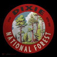 Dixie National Forest Utah 7-Panel Snapback Hat