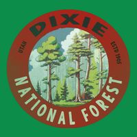 Dixie National Forest Utah Poster