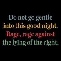 Do Not Go Gentle Into This Good Night Rage Against The Lying Drawstring Bag