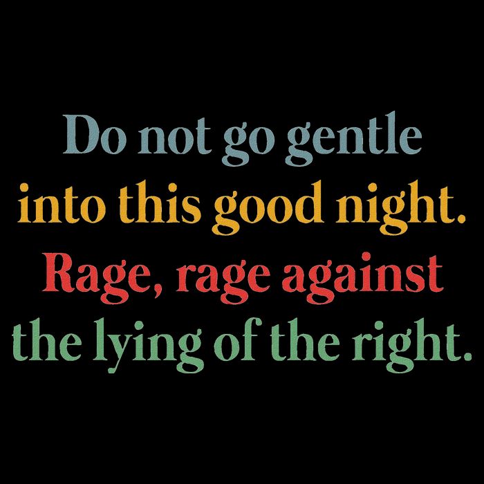 Do Not Go Gentle Into This Good Night Rage Against The Lying Flat Bill Trucker Hat