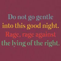 Do Not Go Gentle Into This Good Night Rage Against The Lying 16oz Travel Tumbler