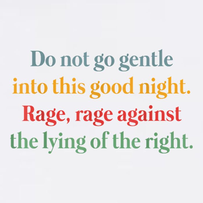 Do Not Go Gentle Into This Good Night Rage Against The Lying Bucket Hat